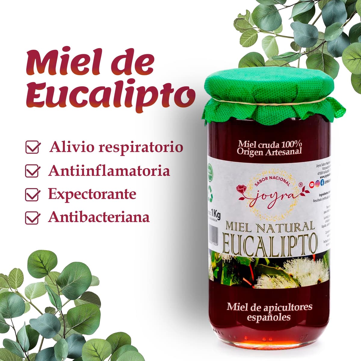 Miel Cruda, 100% MIel Pura de Abeja. Natural y Artesanal. 27 Variedades de sabores, APICULTURA ESPAÑOLA. Sin Pasteurizar, conservan Polen, Enzimas y Antioxidantes. (1 KG, Miel de Eucalipto) — view 2