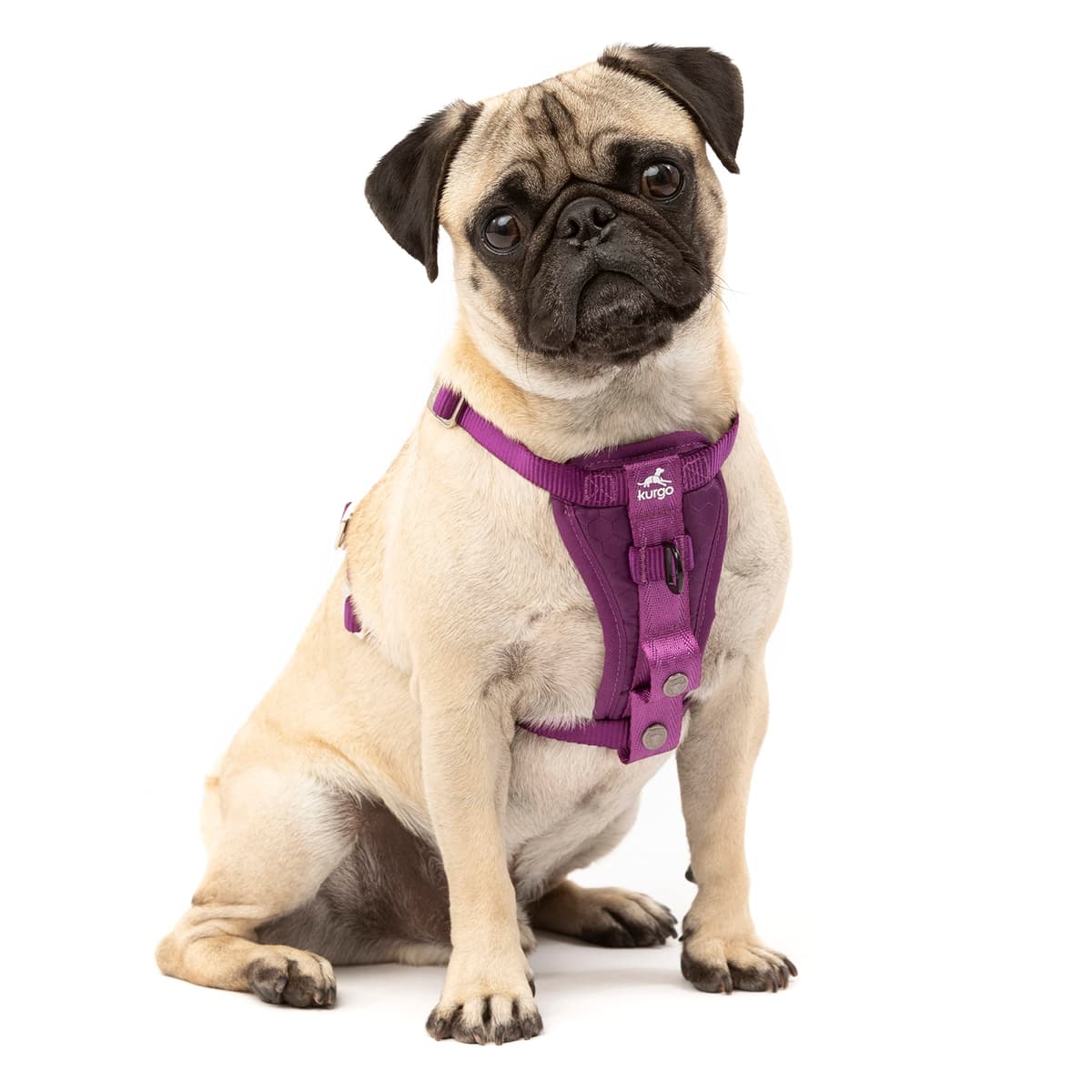 Kurgo Tru-Fit Smart Dog Walking Harness - Comfortable Fit - Adjustable Harness - Reflective Pet Wear - Quick Strap Release - Daily Walk Accessory - Includes Seat Belt Loop - Black - Medium — view 7