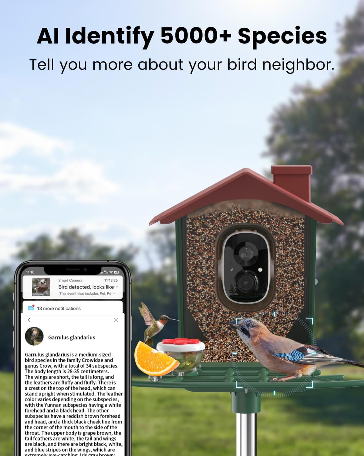Comedero para pájaros con cámara solar al aire libre: cámara inteligente para jardín exterior, cámara de video en vivo HD 2K, reconocimiento de IA, ventana visible, captura automática, regalos para — view 3
