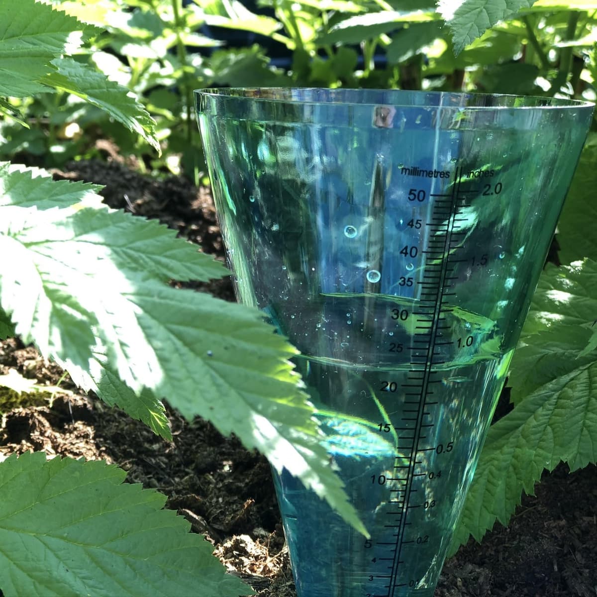 Tildenet Rain Gauge — view 5