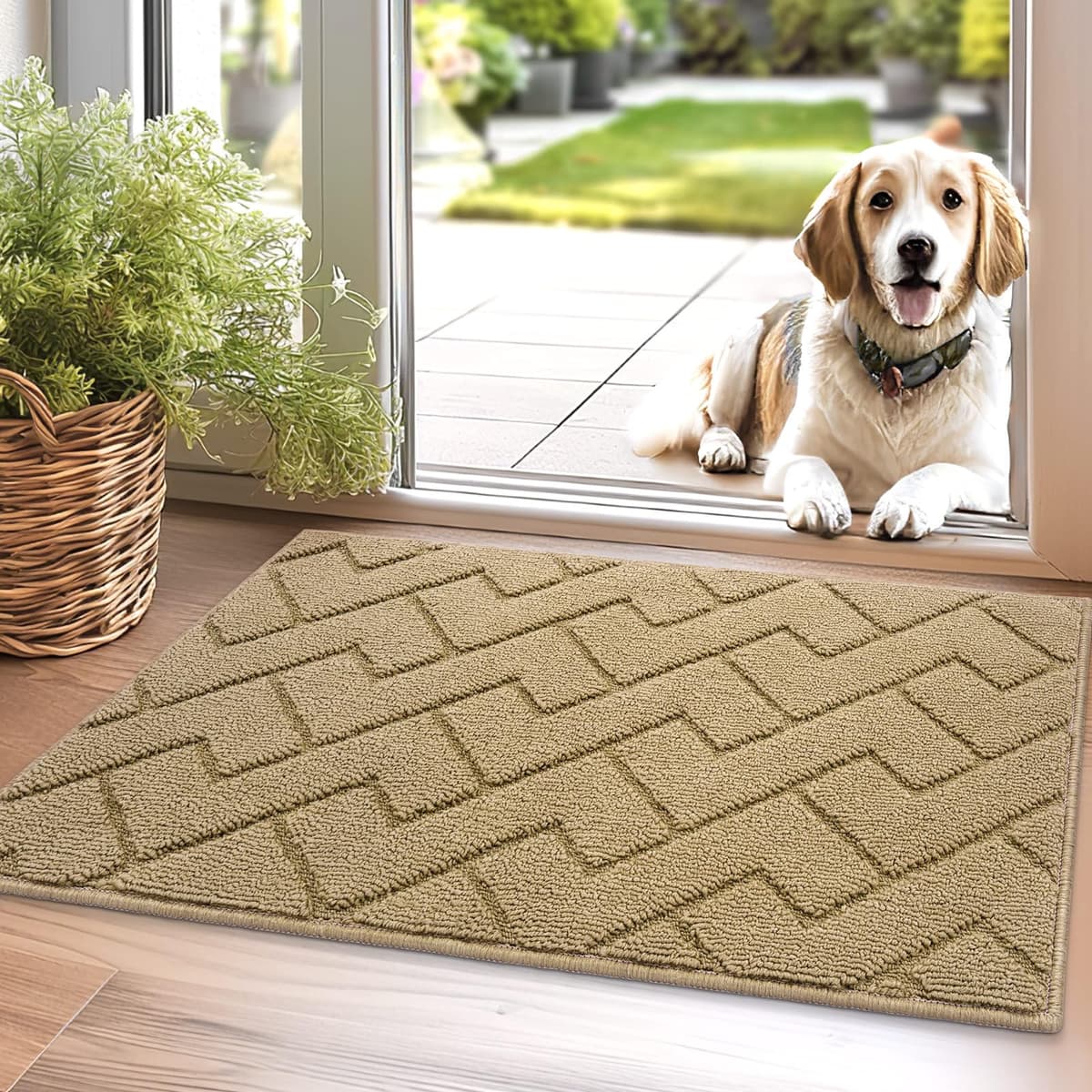 Biscpro Door Mats Indoor,Dirt Trapper Mat Absorbent Non-Slip Low Profile Doormat for Entrance,Inside, Kitchen,Front Door Mat Washable for Pets and Dogs— 50x80cm,Grey — view 24