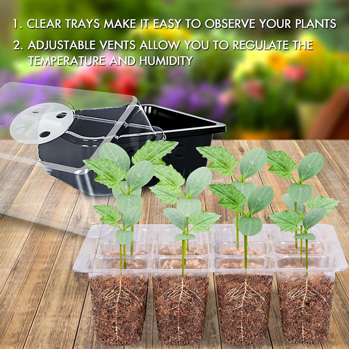MIXC Seed Trays, 10 Pack 120 Cells Seed Tray for Seedlings Reusable Seed Trays with Lids, propagators for plants, Germination Trays Kit Plastic for Greenhouse/Garden Black — view 2