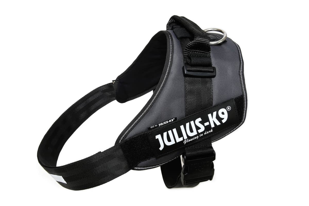 Julius-K9, 16IDC-AM-M, IDC Powerharness, dog harness, Size: Mini, Aquamarine — view 327