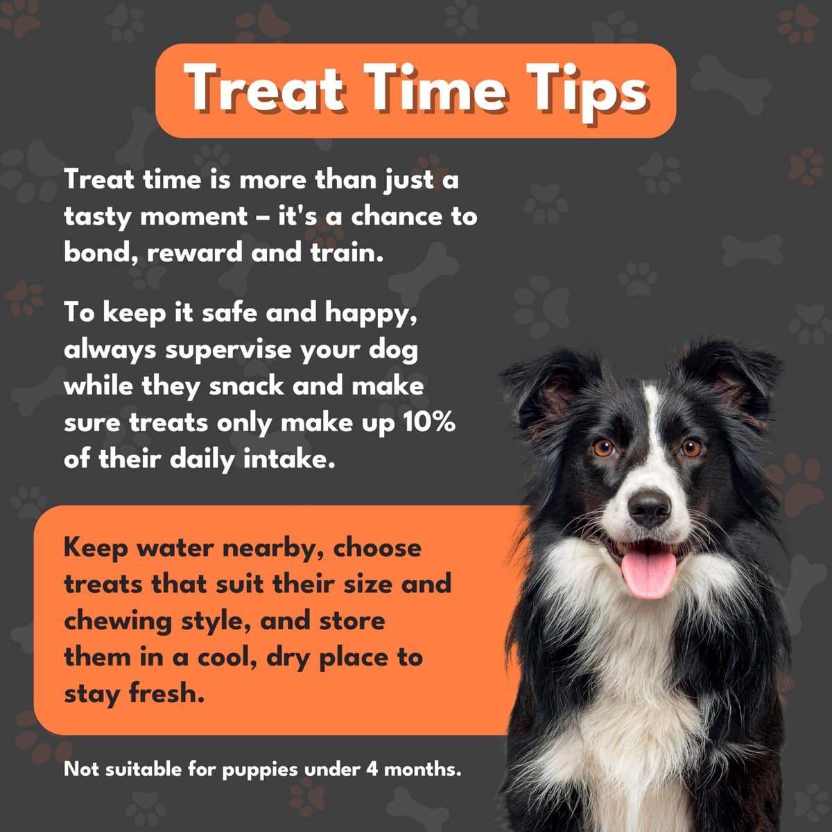 Pet Munchies Duck Dog Training Treats, Grain Free Tasty Bites with Natural Real Meat, Low in Fat 50g — view 5