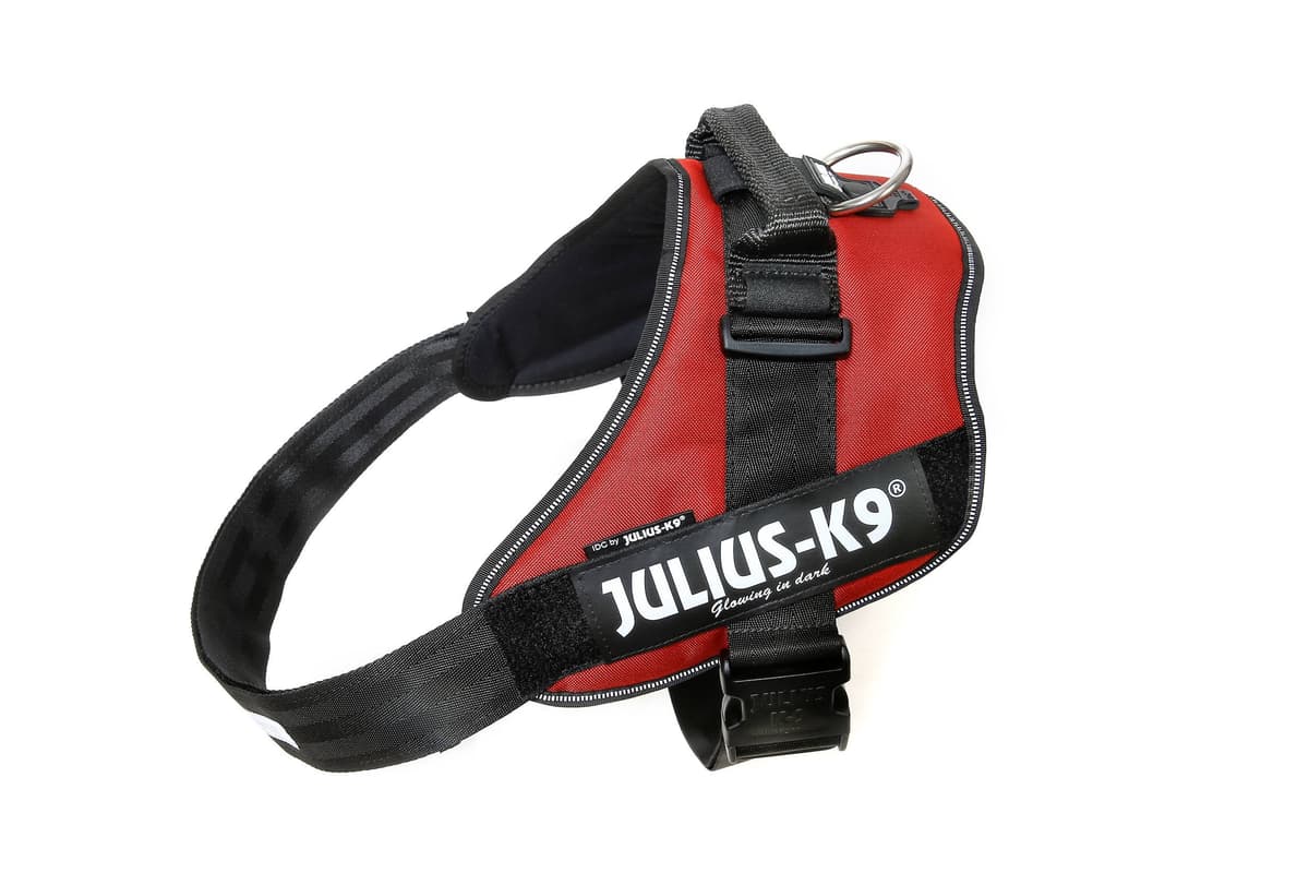 Julius-K9, 16IDC-AM-M, IDC Powerharness, dog harness, Size: Mini, Aquamarine — view 90