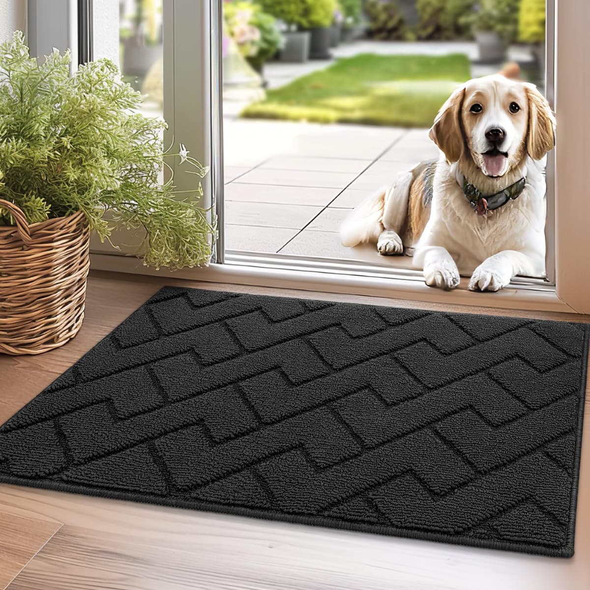 Biscpro Door Mats Indoor,Dirt Trapper Mat Absorbent Non-Slip Low Profile Doormat for Entrance,Inside, Kitchen,Front Door Mat Washable for Pets and Dogs— 50x80cm,Grey — view 89