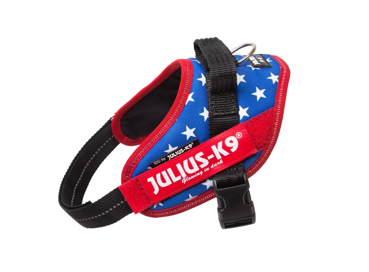 Julius-K9, 16IDC-AM-M, IDC Powerharness, dog harness, Size: Mini, Aquamarine — view 201