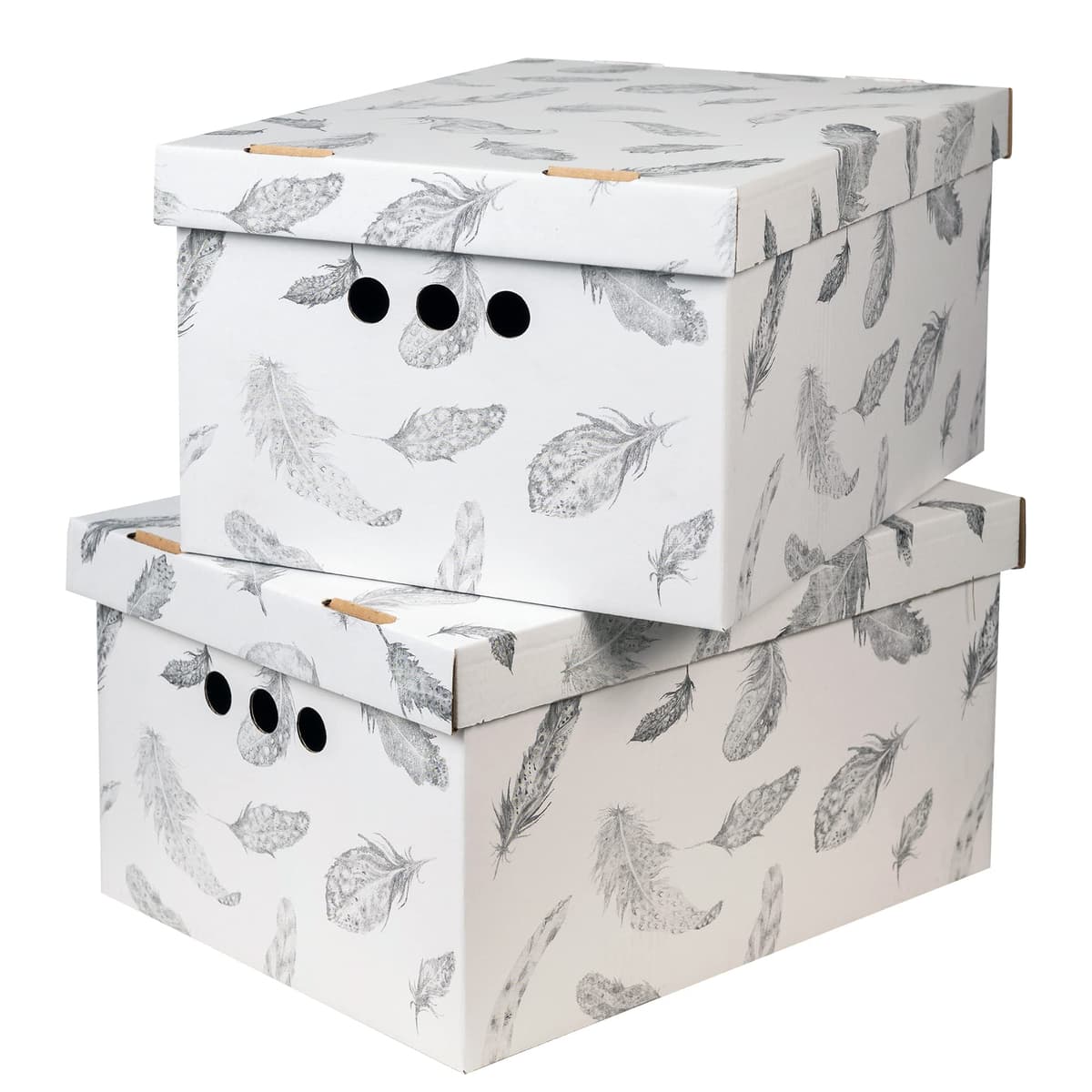 SOFTILLO Cardboard Storage Boxes with Lid, Decorative Wardrobe, Closet, Home & Office Organiser with Handle, Flat-Packed, Stackable File Box, Gift for Adults & Kids, Set of 2, XLarge - Feathers