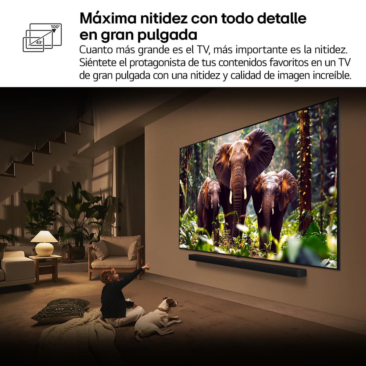 LG 55QNED85A6C - TV 55", 4K QNED EVO, Smart TV, WebOS 25, Procesador Potente e Inteligente, MiniLED AI, Super Upscaling, Dolby Vision y Dilgital Plus, Alexa/Google Assistant, Negro — view 15