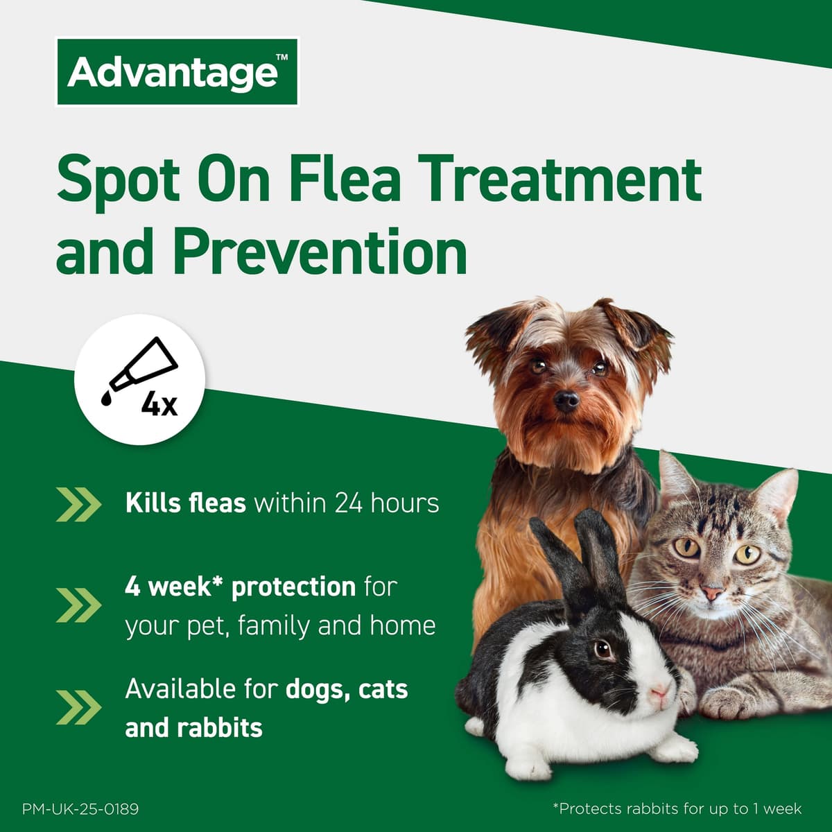 Advantage Spot On Flea Treatment For Cats, Dogs and Rabbits Under 4kg (4 pipettes, 40mg), Kills Fleas Within 24 Hours, Prevents Further Infestation For Up To Four Weeks in Cats and Dogs — view 2