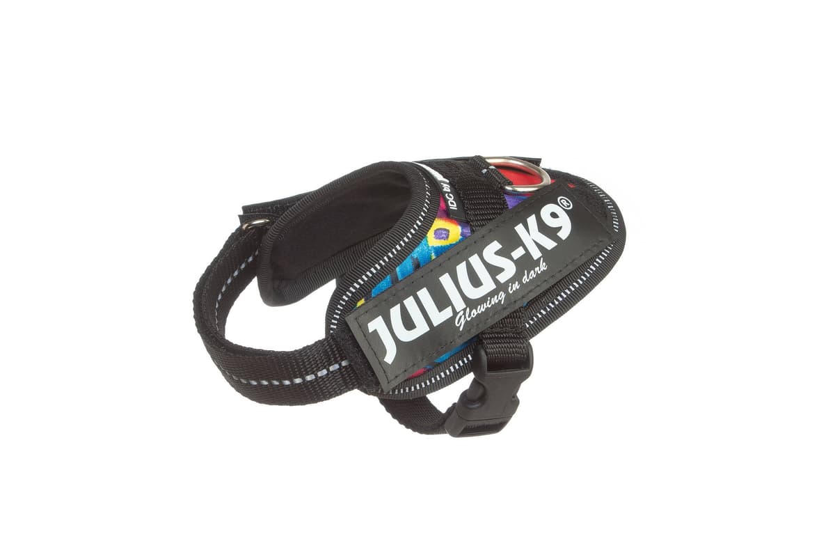 Julius-K9, 16IDC-AM-M, IDC Powerharness, dog harness, Size: Mini, Aquamarine — view 414