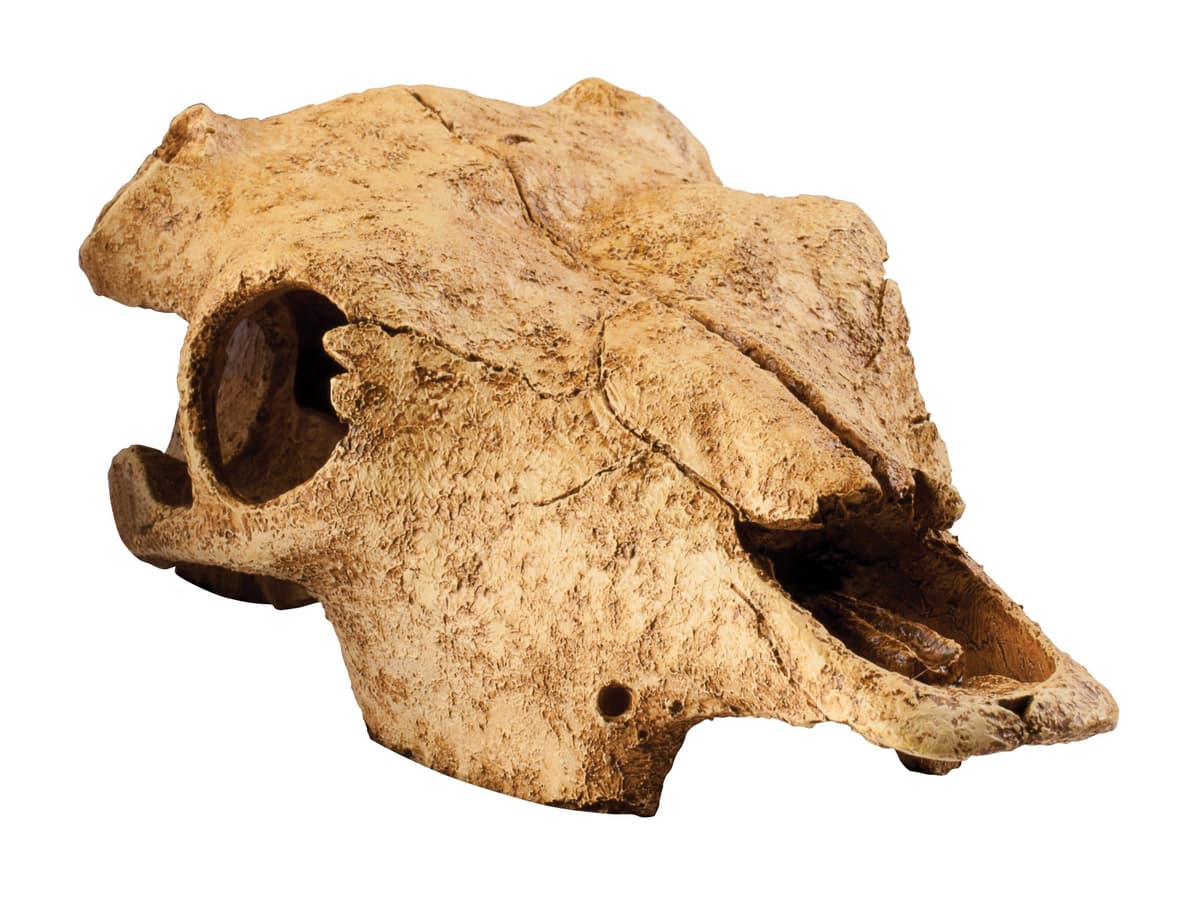 Exo Terra Cueva Dino T-Rex — view 3