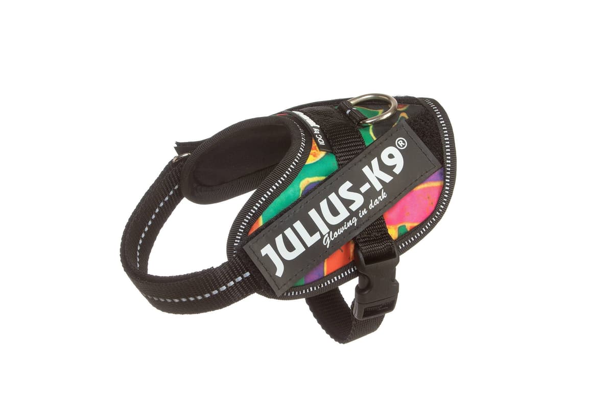 Julius-K9, 16IDC-AM-M, IDC Powerharness, dog harness, Size: Mini, Aquamarine — view 269