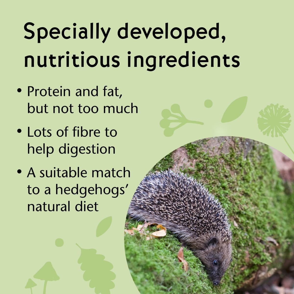 Vale’s™ Hedgehog Food – specially developed – used daily at Vale Wildlife Hospital – meaty, crunchy biscuits, high in fibre – suitable and nutritious – ideal addition to their natural diet (1.5kg) — view 5