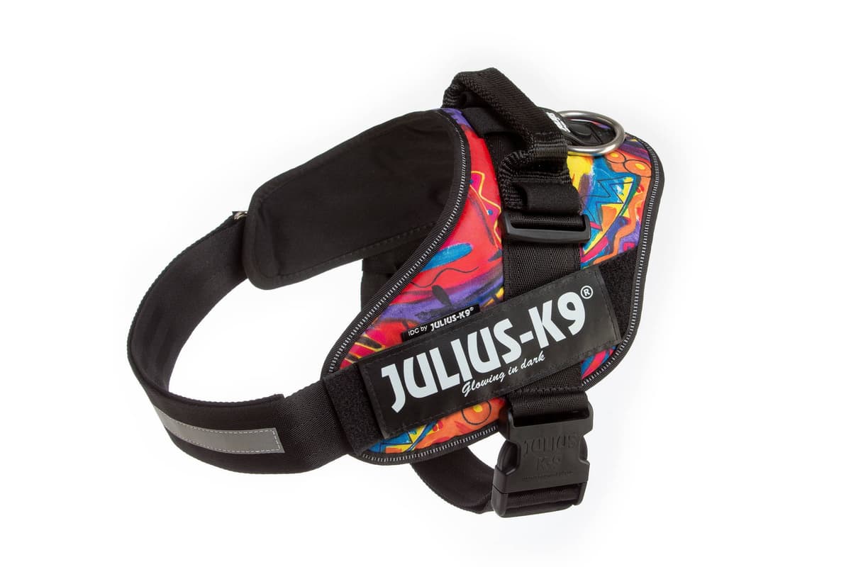 Julius-K9, 16IDC-AM-M, IDC Powerharness, dog harness, Size: Mini, Aquamarine — view 399