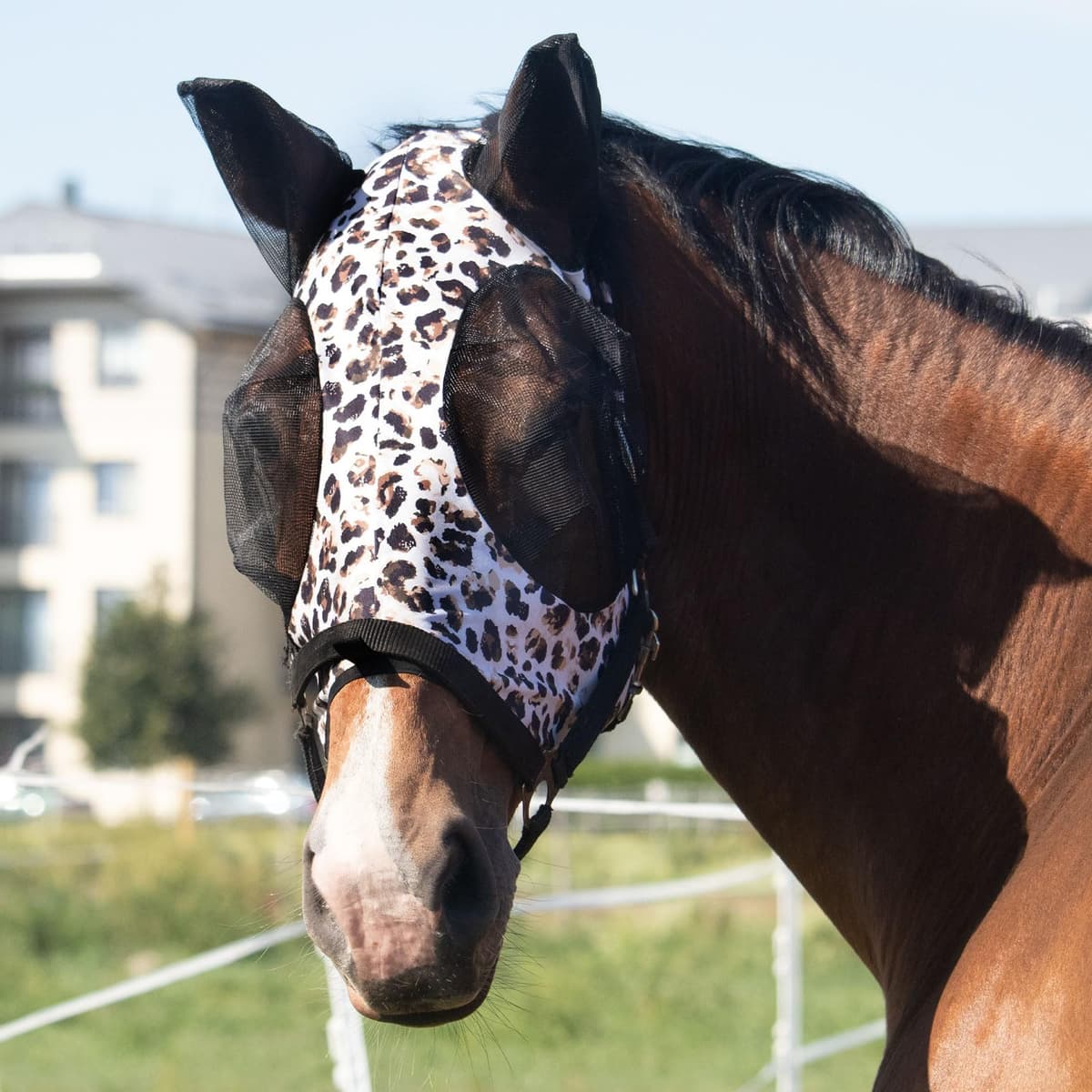 Harrison Howard Máscara elástica para Moscas de Caballo, excelente Comodidad con protección UV, máscara estándar para Caballos, Azul Marino M — view 12