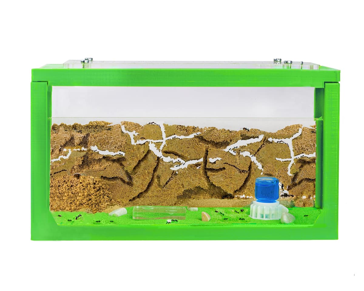Anthouse.es - Hormiguero Natural de Arena - Kit Inicio Acrílico 20x10x10 cm - Granja de Hormigas con Colonia de Hormigas, Arena, Piptea y Bebedero Incluido - Fácil Instalación — view 12