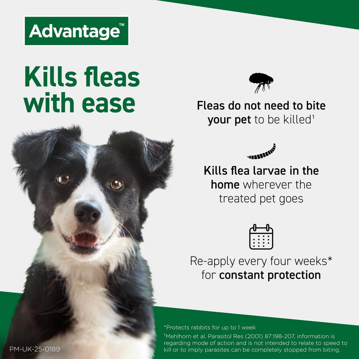 Advantage Spot On Flea Treatment For Cats, Dogs and Rabbits Under 4kg (4 pipettes, 40mg), Kills Fleas Within 24 Hours, Prevents Further Infestation For Up To Four Weeks in Cats and Dogs — view 4