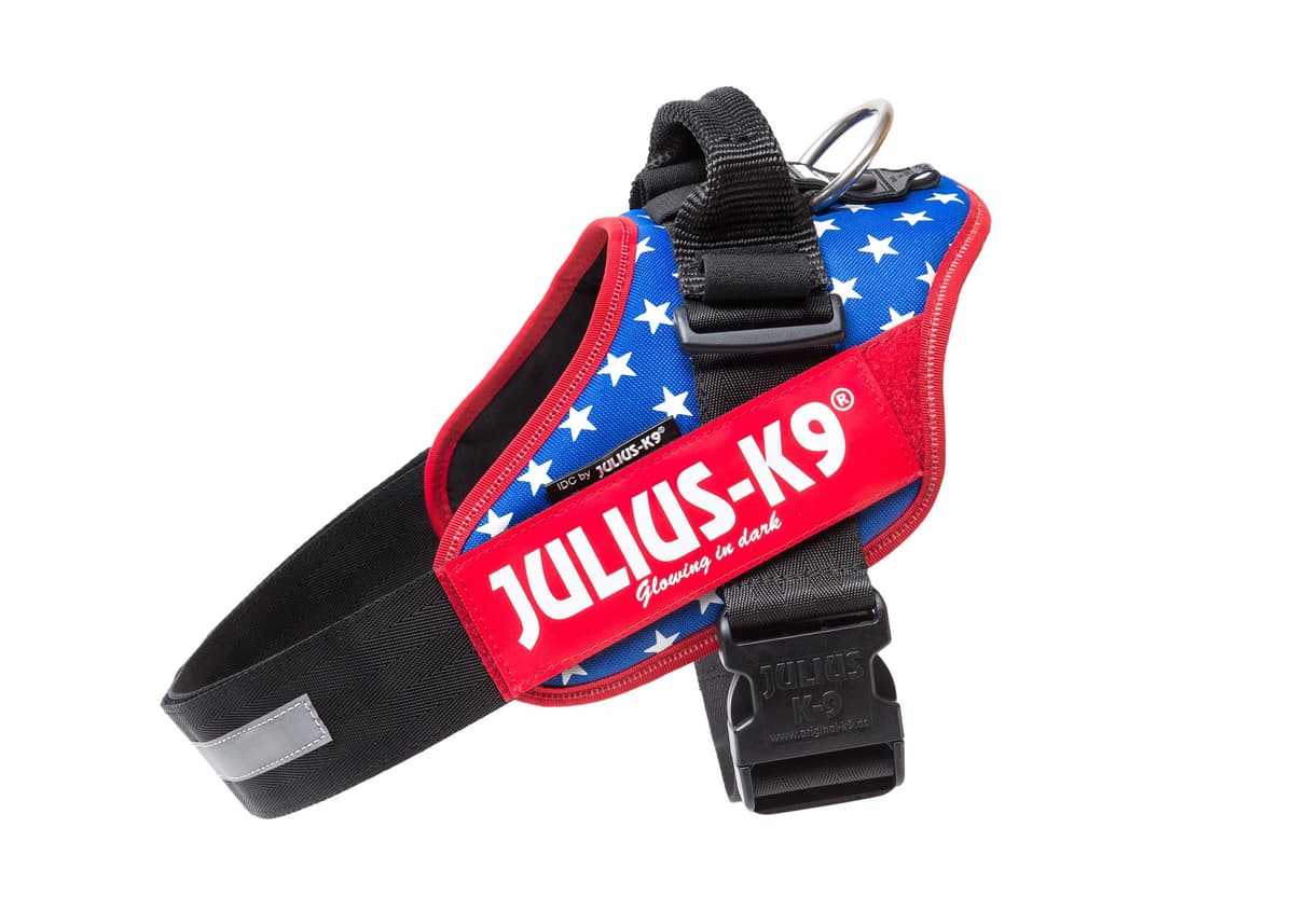 Julius-K9, 16IDC-AM-M, IDC Powerharness, dog harness, Size: Mini, Aquamarine — view 81