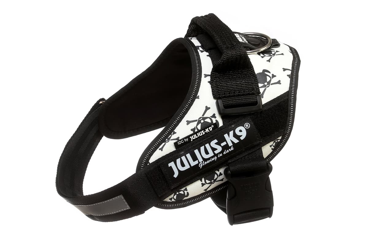Julius-K9, 16IDC-AM-M, IDC Powerharness, dog harness, Size: Mini, Aquamarine — view 18