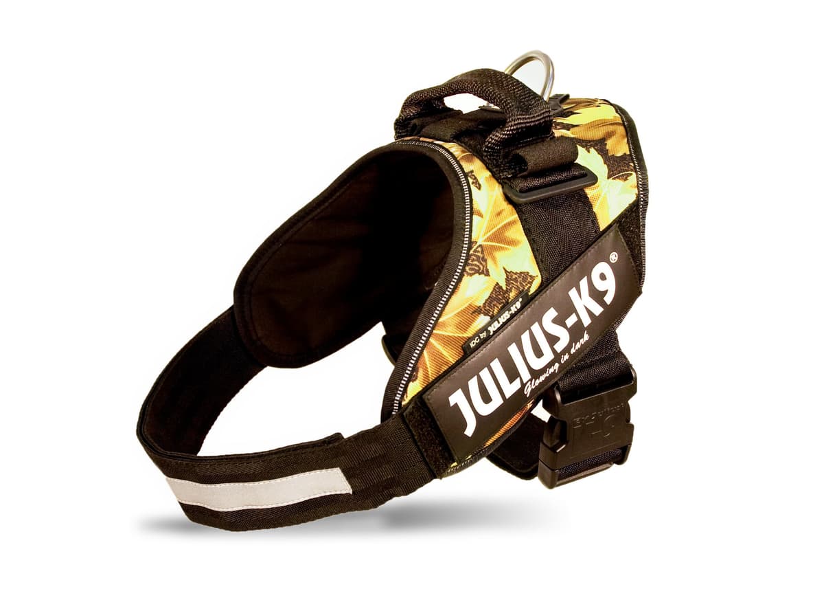 Julius-K9, 16IDC-AM-M, IDC Powerharness, dog harness, Size: Mini, Aquamarine — view 363