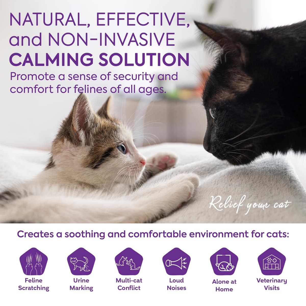 TopSum Cat Calming Pheromone Diffuser: Feline Pheromones Plug in for Stress, Along At Home, Spraying, Fighting, Scratching, Aggression & Excessive Meowing (Purple) — view 3