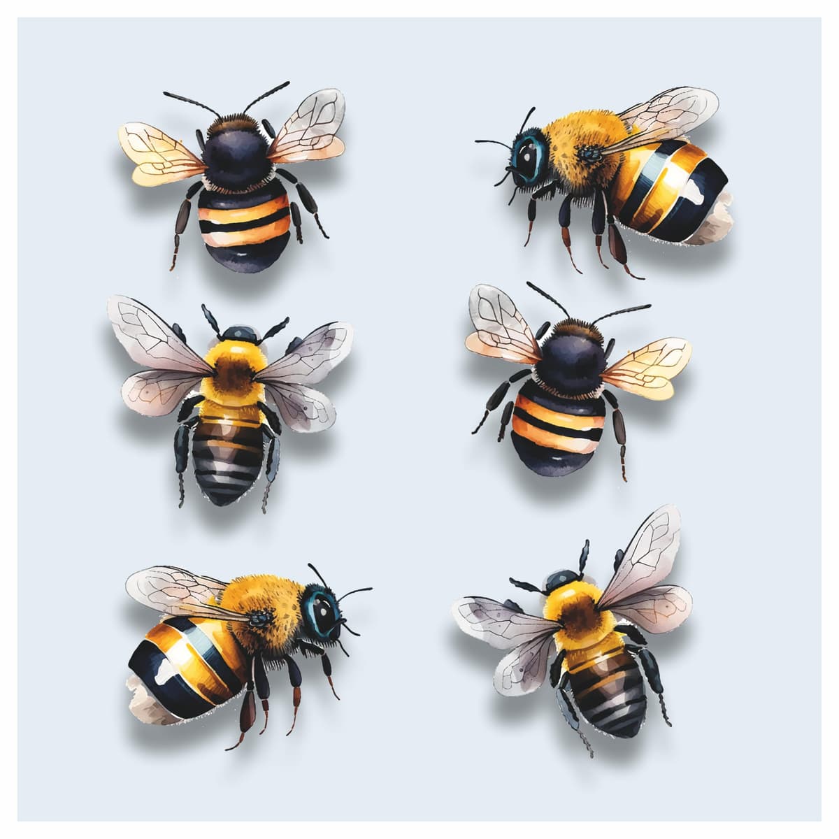Bumblebee Wall Stickers, Hardwearing Waterproof 0% Transparency Decals, DIY Peel & Stick Perfect to Cover Marks, Wall Decor, Weatherproof for Cars & Other Home Projects. LaoGraphics® (6 Bees, A5) — view 5