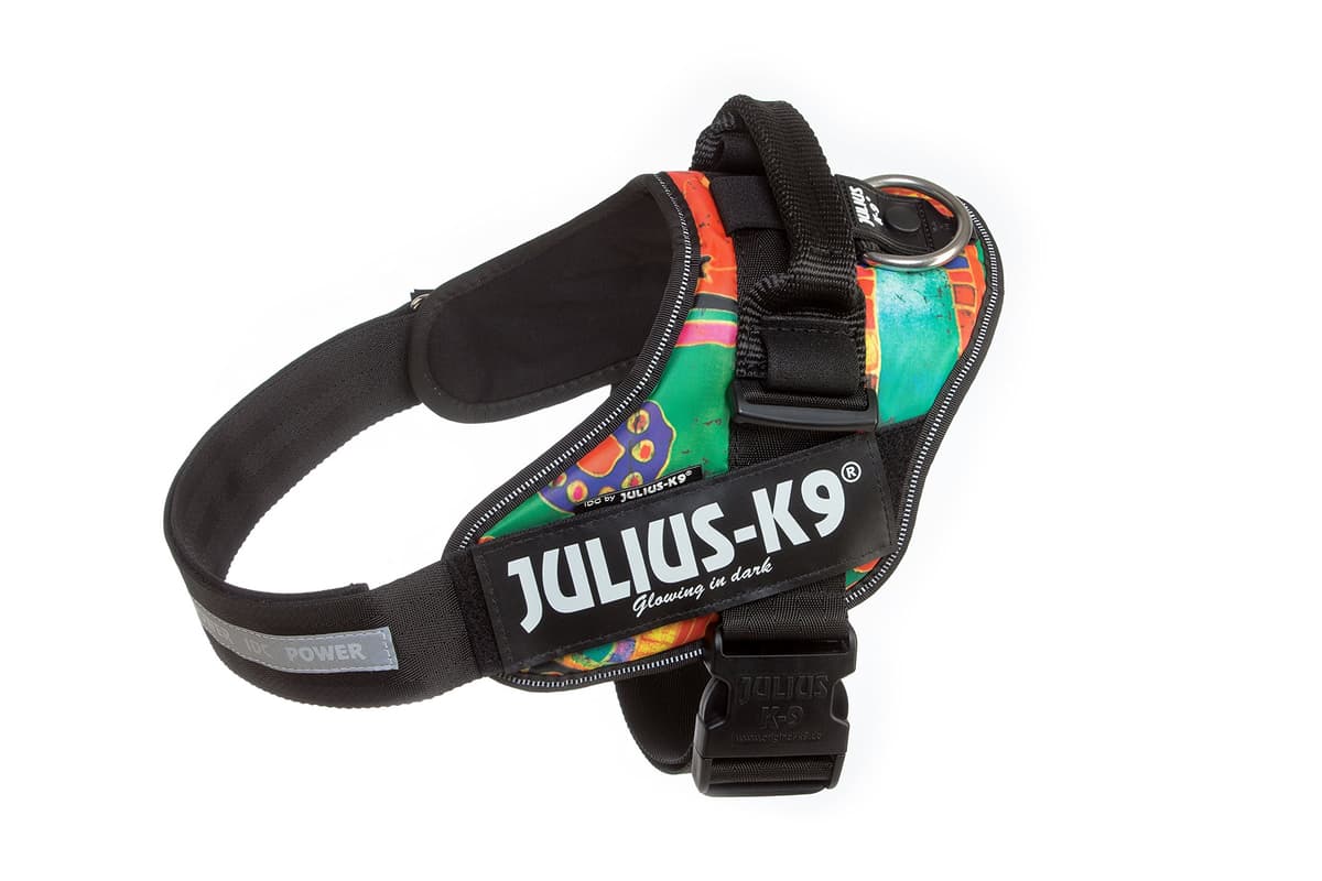 Julius-K9, 16IDC-AM-M, IDC Powerharness, dog harness, Size: Mini, Aquamarine — view 314