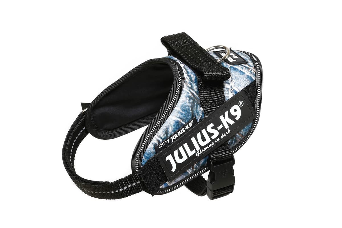 Julius-K9, 16IDC-AM-M, IDC Powerharness, dog harness, Size: Mini, Aquamarine — view 84