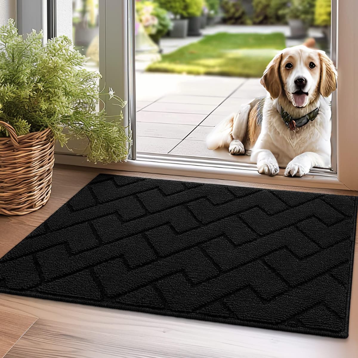 Biscpro Door Mats Indoor,Dirt Trapper Mat Absorbent Non-Slip Low Profile Doormat for Entrance,Inside, Kitchen,Front Door Mat Washable for Pets and Dogs— 50x80cm,Grey — view 33