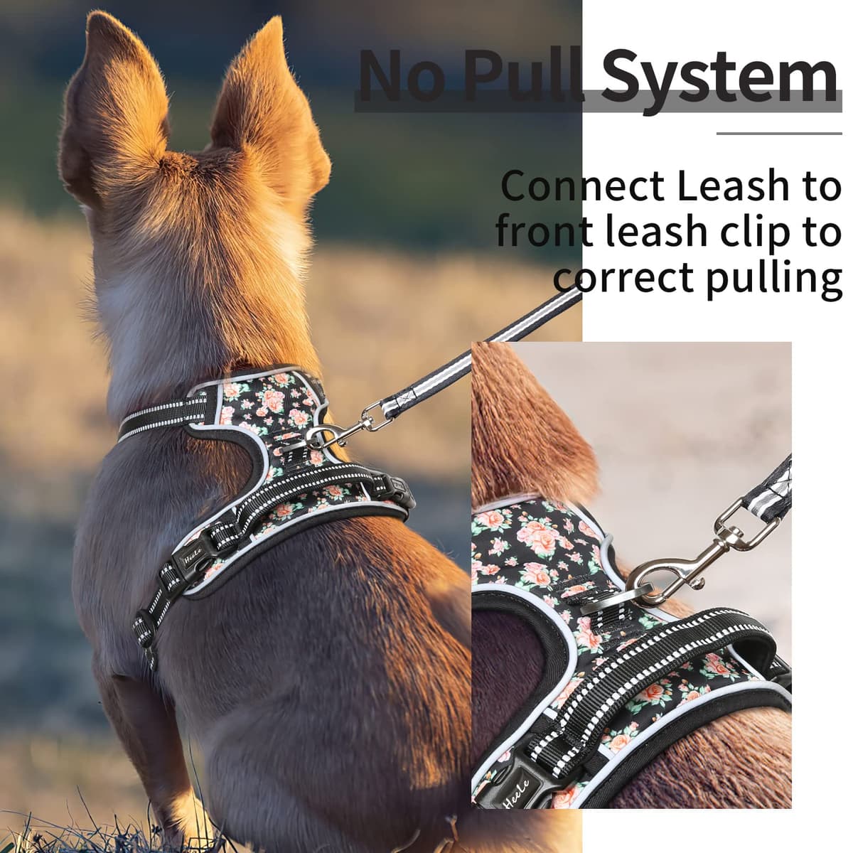 HEELE Arnés Reflectante para Perro, con Control de Mango Acolchado, 2 Anillos de Metal, arnés para Perros pequeños, medianos y Grandes, Flores-Negro, L — view 5