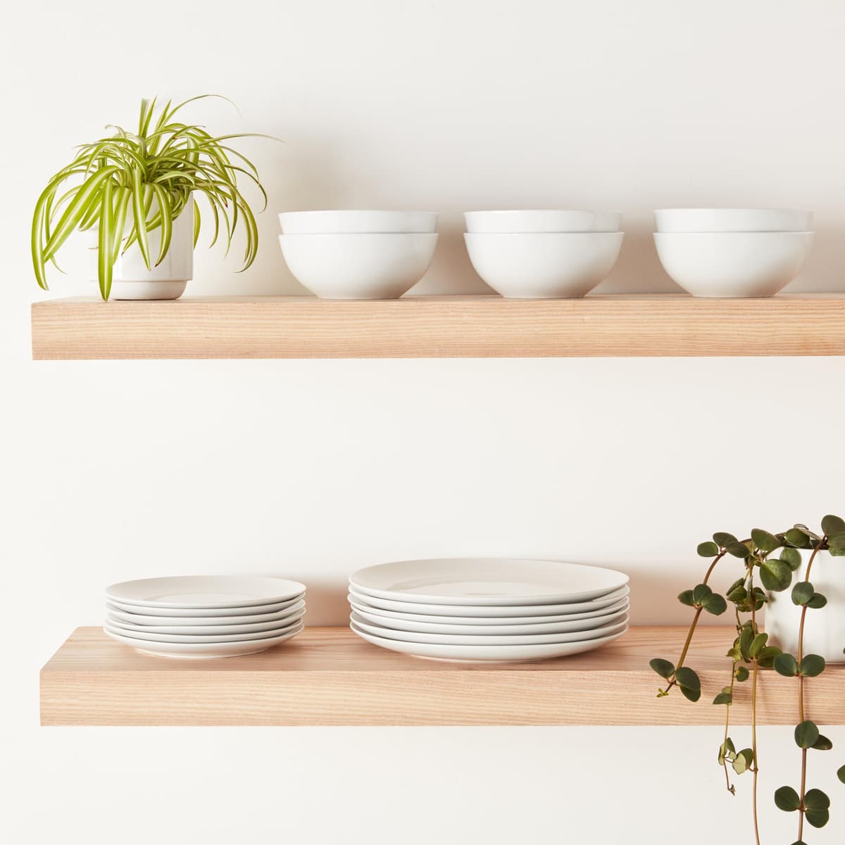 Amazon Basics Vajilla, 6 servicios, Paquete de 18, Porcelana blanca lisa — view 3
