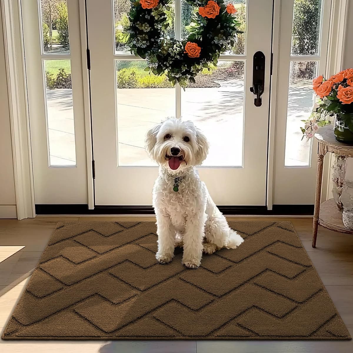 Biscpro Door Mats Indoor,Dirt Trapper Mat Absorbent Non-Slip Low Profile Doormat for Entrance,Inside, Kitchen,Front Door Mat Washable for Pets and Dogs— 50x80cm,Grey — view 26