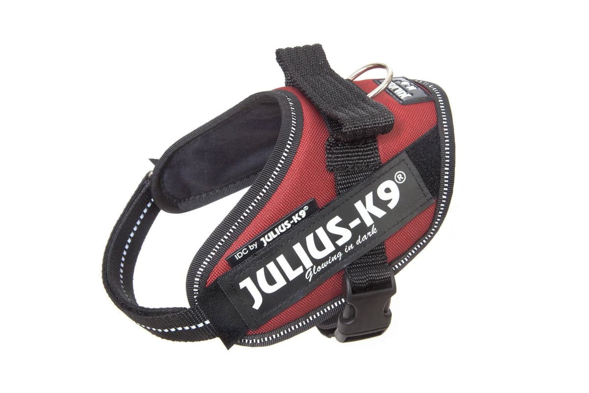 Julius-K9, 16IDC-AM-M, IDC Powerharness, dog harness, Size: Mini, Aquamarine — view 284