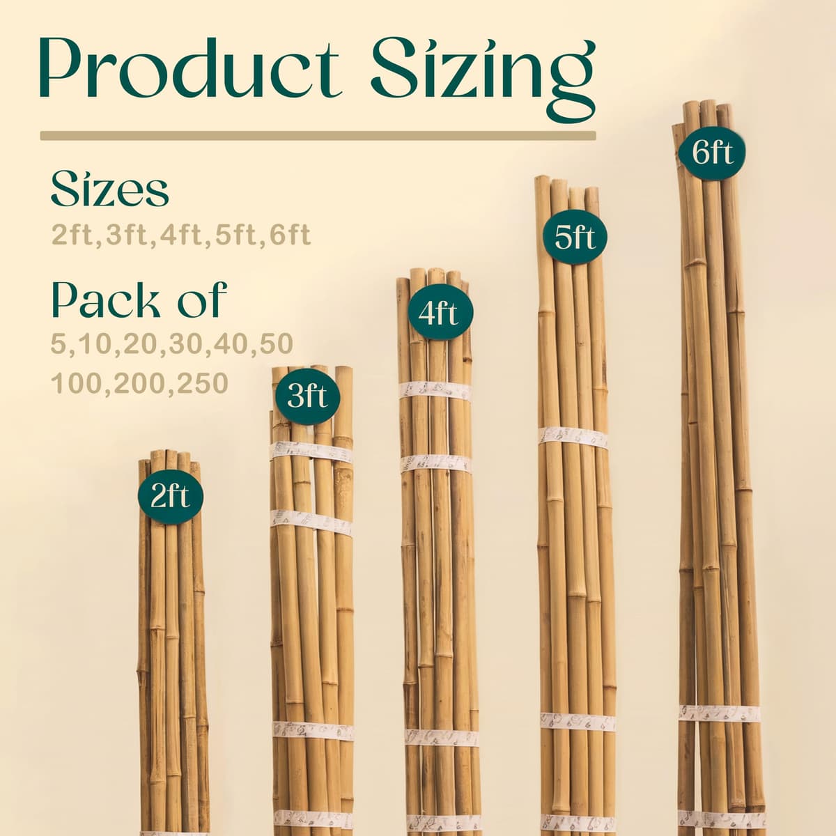 Gardens 2Ft,3Ft,4Ft,5Ft,6Ft,7Ft,8FT,10Ft Strong Heavy Duty Professional Bamboo Plant Support Garden Canes (10, 3ft, 12-14 mm) — view 2