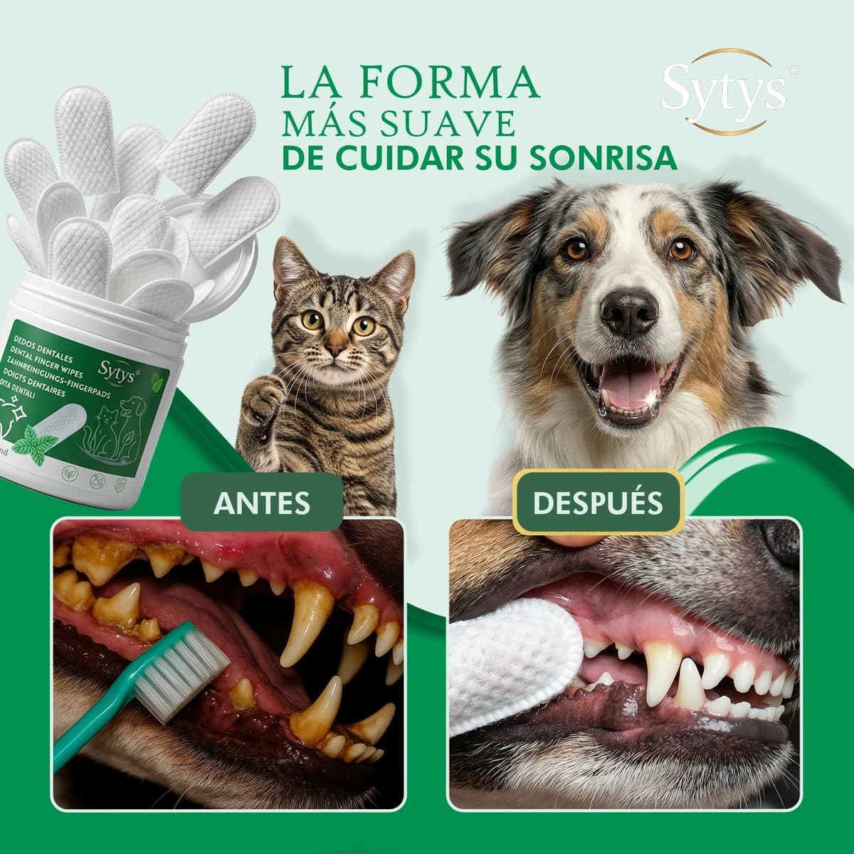 Toallitas Dentales para Perros y Gatos 50 Dedales Desechables Limpieza Dental sin cepillo dientes perro Reduce Placa y Mal Aliento Sabor Menta Natural Higiene Diaria Dedal Limpieza Dientes perro — view 5