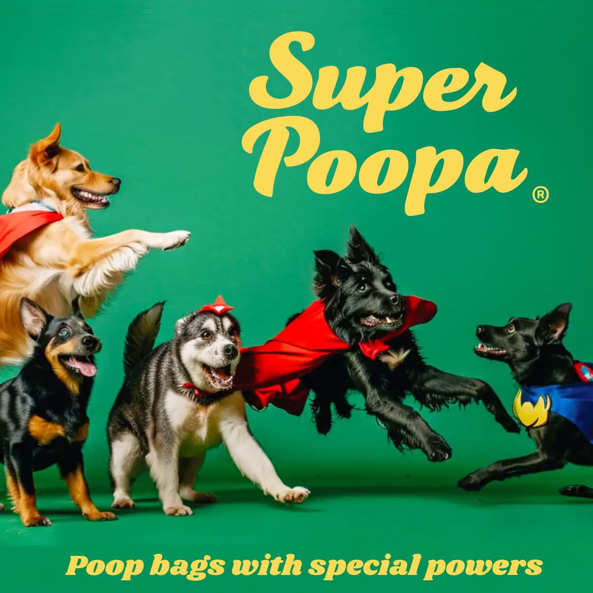 Eco-Friendly Dog Poop Bags - Guaranteed Leak-Proof, Extra Thick & Strong Dog Waste Bags, Geranium Scented, Made from certified post-consumer recycled plastic, 270 Count — view 4