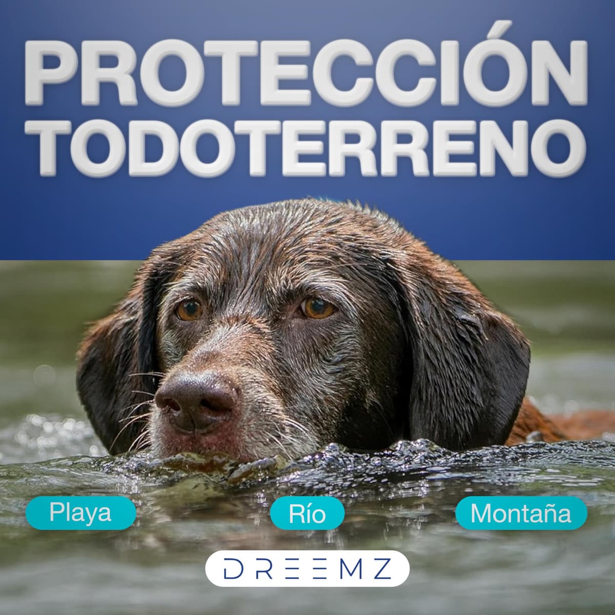 DREEMZ Collar Repelente de Insectos - Antipulgas Perros, garrapatas y Mosquitos, 8 Meses protección-63cm -100% Vegetal-Impermeable - Formatos (1 Und Gris) — view 6