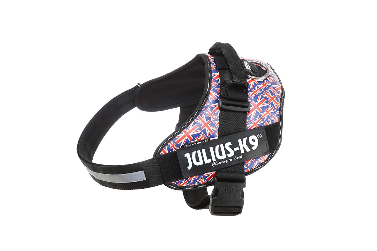 Julius-K9, 16IDC-AM-M, IDC Powerharness, dog harness, Size: Mini, Aquamarine — view 389