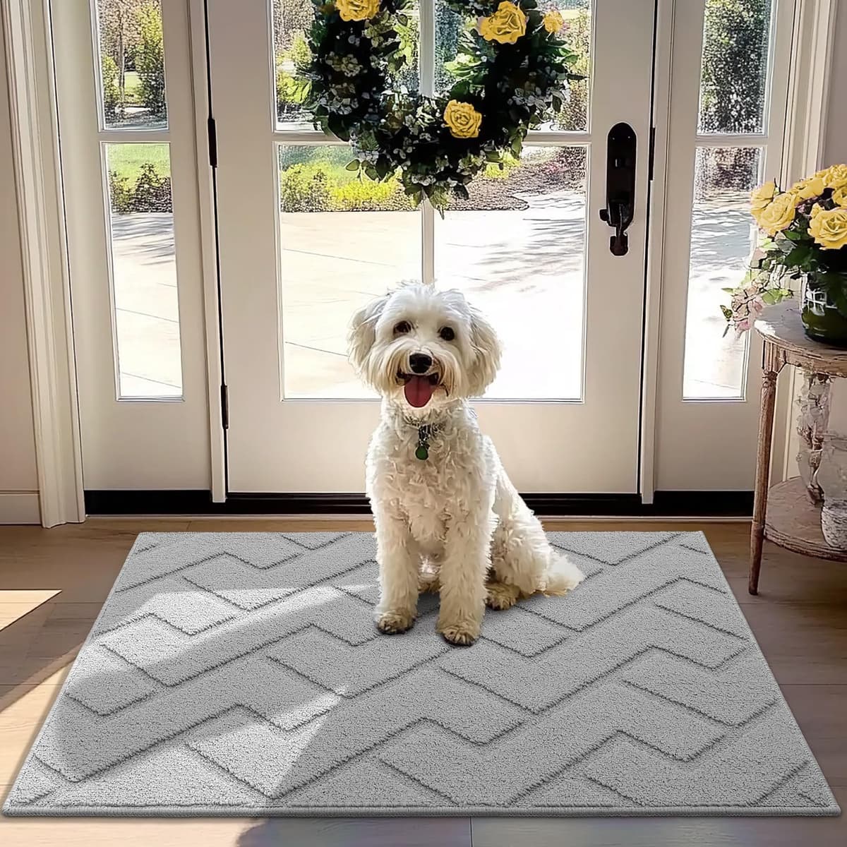 Biscpro Door Mats Indoor,Dirt Trapper Mat Absorbent Non-Slip Low Profile Doormat for Entrance,Inside, Kitchen,Front Door Mat Washable for Pets and Dogs— 50x80cm,Grey — view 38