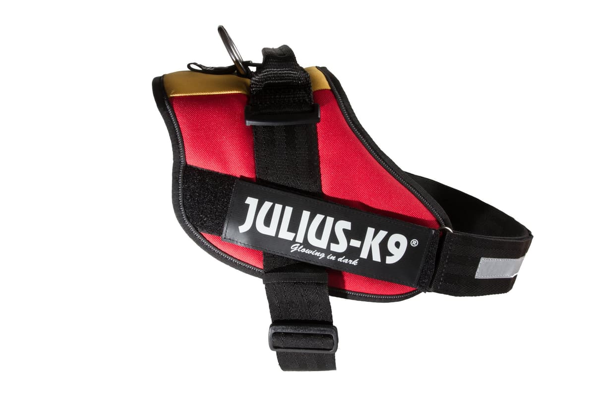 Julius-K9, 16IDC-AM-M, IDC Powerharness, dog harness, Size: Mini, Aquamarine — view 292