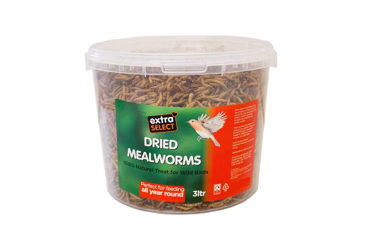 Extra Select Dried Mealworms for Wild Birds: Protein Rich Wild Bird Food for Robins and Wildlife - Meal Worms for Garden Birds - 500 ml — view 8