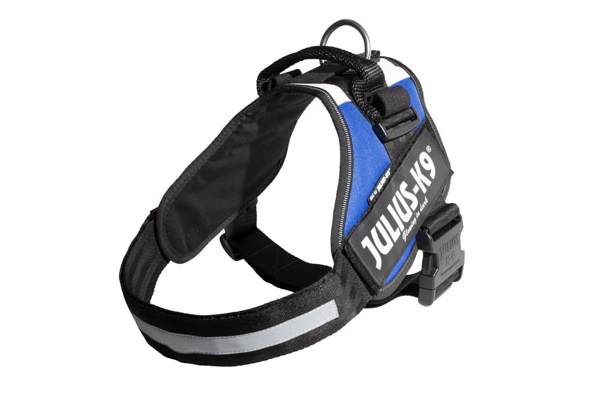 Julius-K9, 16IDC-AM-M, IDC Powerharness, dog harness, Size: Mini, Aquamarine — view 400