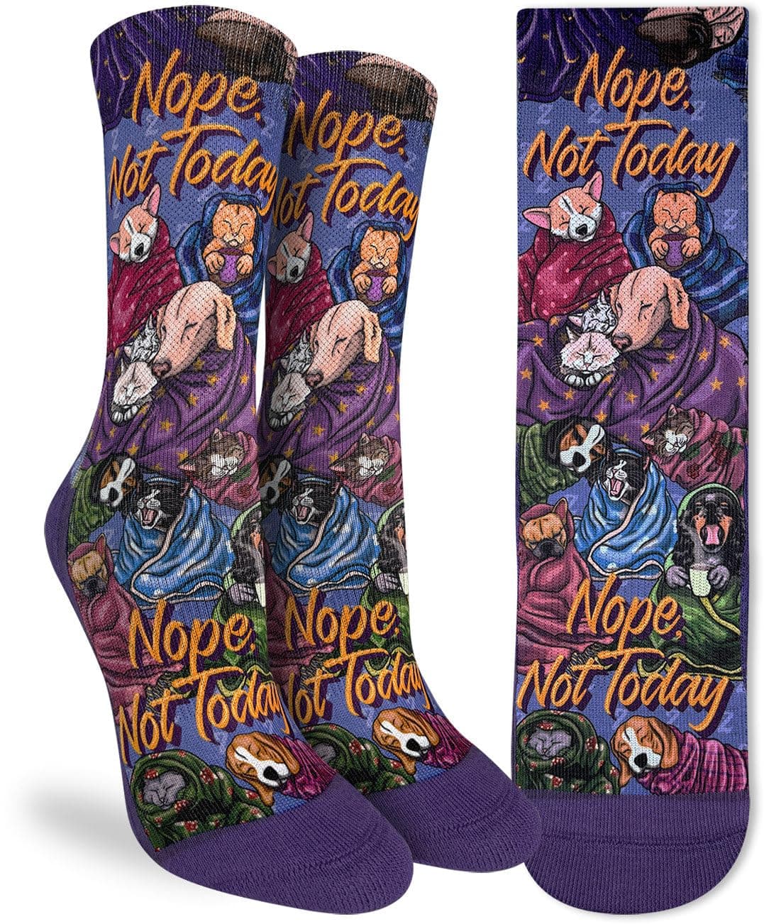 Good Luck Sock Women's Floral Dinosaurs Socks, Shoe Size 5-9 — view 200
