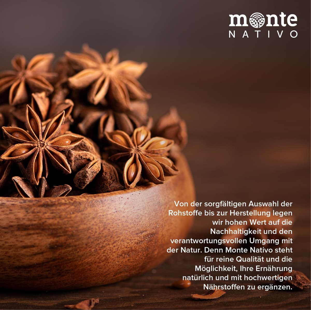 Monte Nativo Star Anise (250g) - Whole Star Anise - Whole Anise Stars - Decorative Star Anise - Spices for Mulled Wine, Cocktails and Chai — view 3