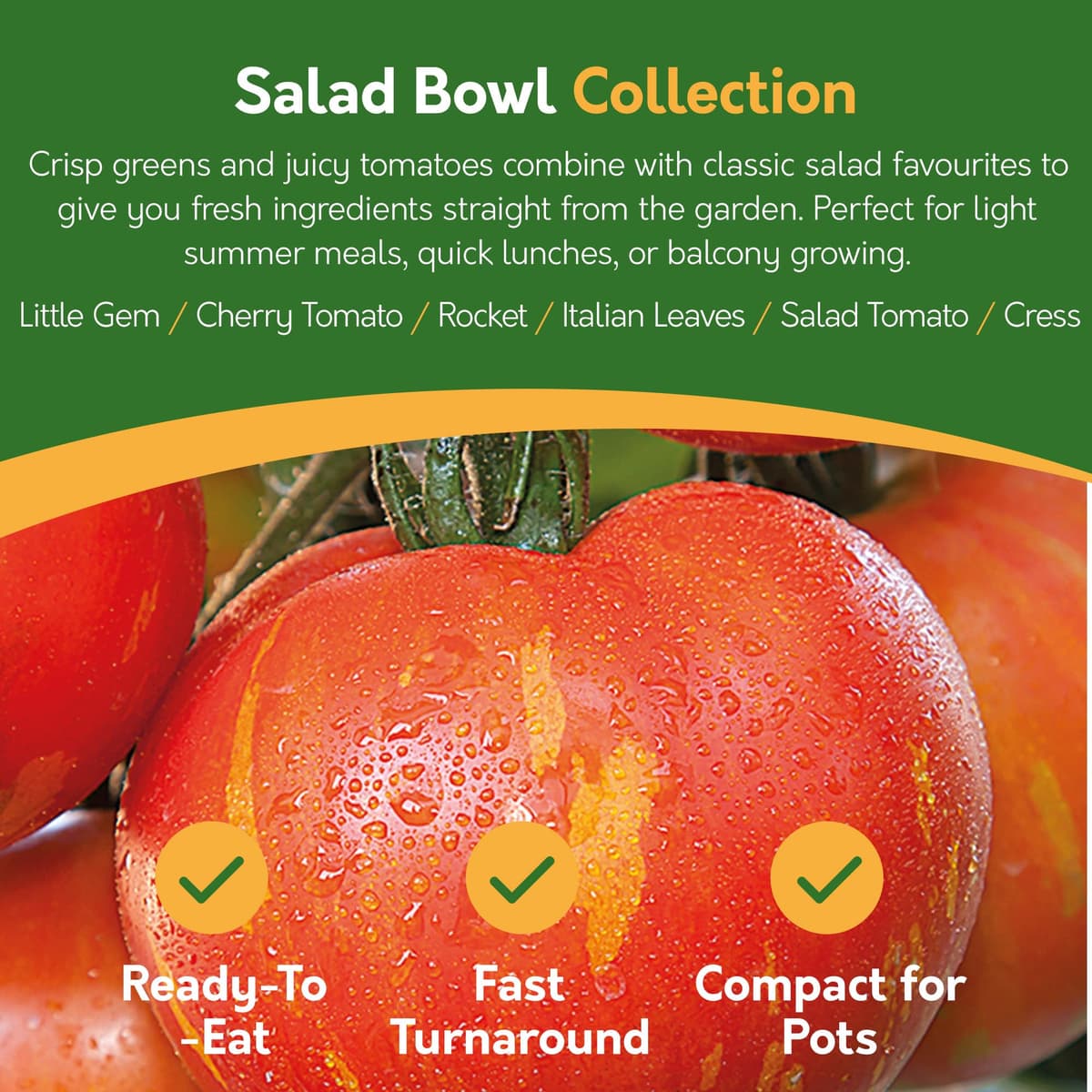 Pronto Seed Grow Your Own Vegetable & Herb Kit – 21 Varieties, 1700+ Seeds for Planting UK – Salad, Spicy, Peas & Beans Mix – Gardening Gifts for Men & Women with Growing Guide — view 4