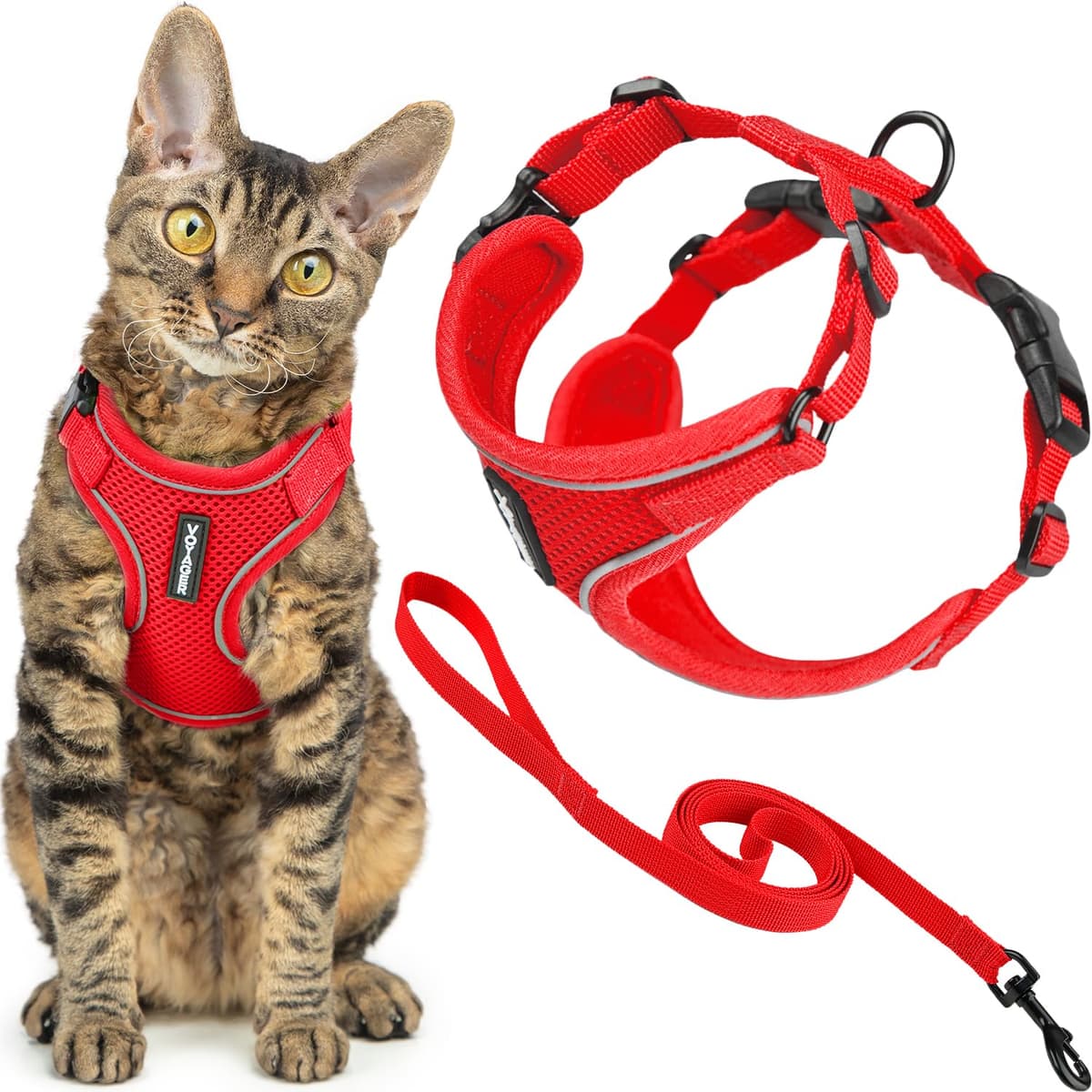 Best Pet Supplies Voyager Step-in Lock Pet Harness – All Weather Mesh, Adjustable Step in Harness for Cats and Dogs Turquoise (Matching Trim), XL (Chest: 22-36") — view 94