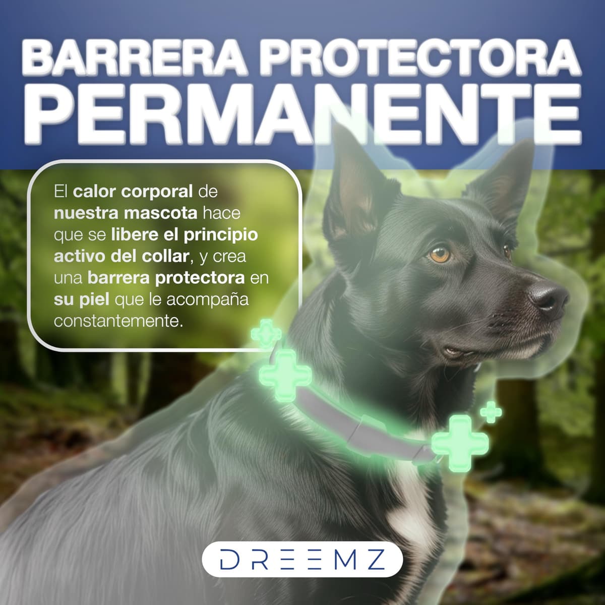 DREEMZ Collar Repelente de Insectos - Antipulgas Perros, garrapatas y Mosquitos, 8 Meses protección-63cm -100% Vegetal-Impermeable - Formatos (1 Und Gris) — view 4