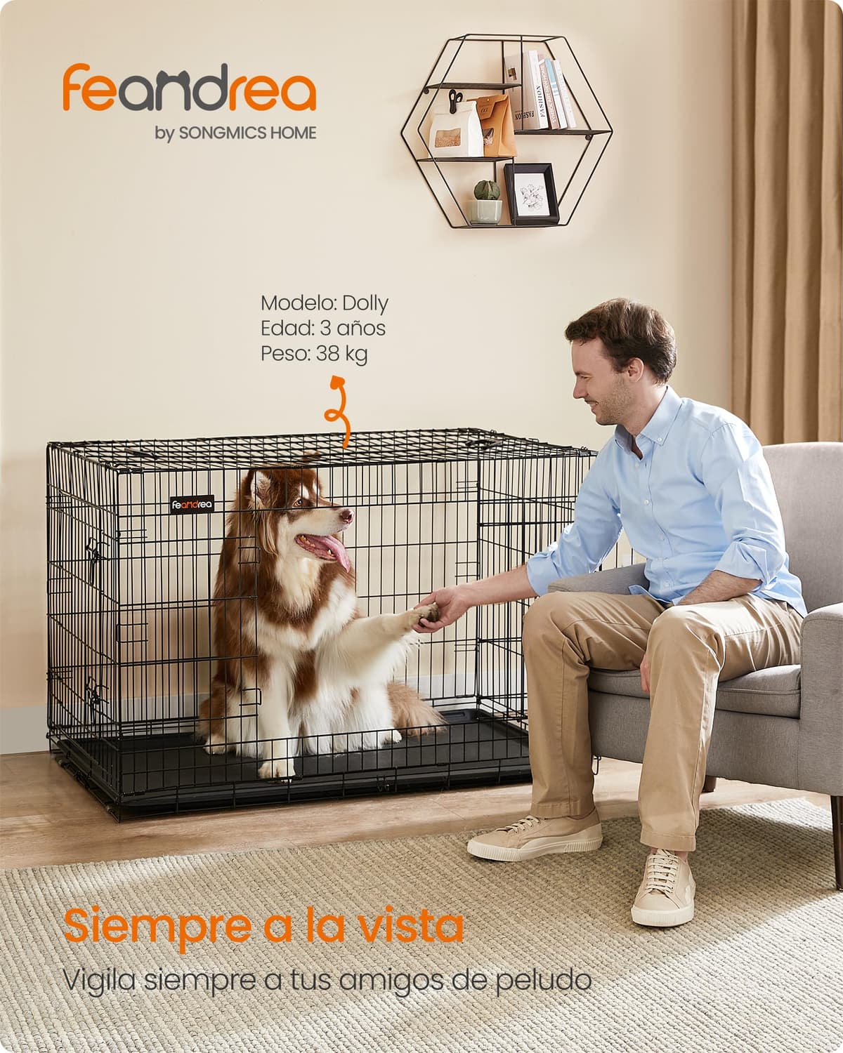 Feandrea Jaula para Perros Plegable con 2 Puertas, Bandeja Extraíble, 122 x 74,5 x 80,5 cm, XXL, Negro PPD48H — view 2