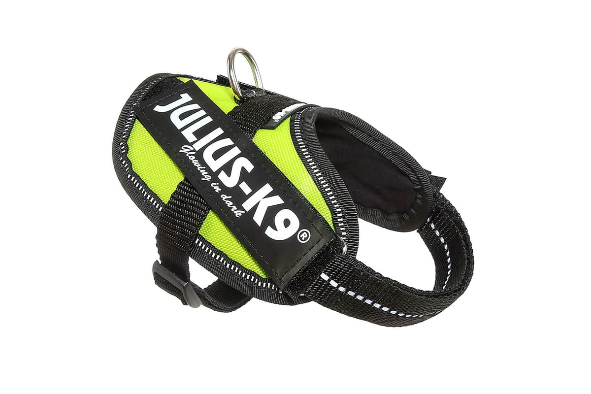 Julius-K9, 16IDC-AM-M, IDC Powerharness, dog harness, Size: Mini, Aquamarine — view 442